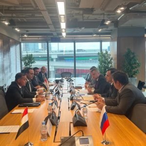 السفير المصري في موسكو يلتقي نائب وزير الصناعة والتجارة الروسي